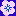 cherryblossomexpo.org
