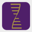 communicationdna.com