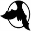 pipistrelliticino.ch