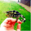 hapaboy12.wordpress.com