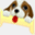 funnydognames.net
