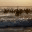 capturepro.wordpress.com