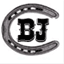 thebackjack.com
