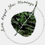 srthaimassage.com