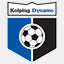 vvkolpingdynamo.nl