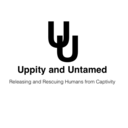 uppityanduntamed.com