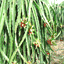 lienminhhtxlongan.com