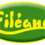 fileane.fr