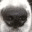 oldflake.wordpress.com