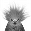 pigeoncontrolphoenix.net