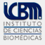 icbm.cl