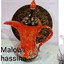 hassina.over-blog.com