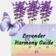 lavenderharmonyguide.com.au