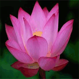 brendagrulkelpcsac.com