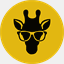 smartgiraffecs.com