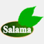 savony-salama.com