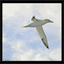luocine.over-blog.com