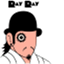 raytotheray.com