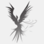 ofenix.com