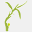 applicationclick.com