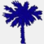 palmettosouthrealestate.com