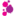 immunotherapyforum.com