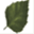 arboit-poitras.com