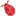 cvetnoi.com