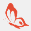 rochefleurs.com