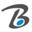 bigintblog.wordpress.com