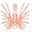 lionfishtechnologies.com