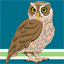 careerwiser.co.uk