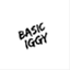 basiciggy.com