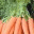 paleofoodie.wordpress.com