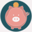 savvypiggy.com