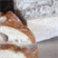 culinaryoblivion.com