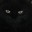 editorkitty.wordpress.com