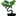 indoorgardeningtips.info