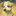 wulidog.com