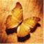 ohtobeabutterfly.com