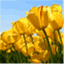 tomlundstrom.wordpress.com