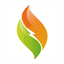cognion.com