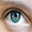 paulmcgehee.com