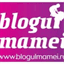 blogulmamei.ro
