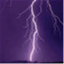 lightningsflower.org