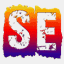 seshirts.com