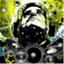 dcadanielandrade.wordpress.com