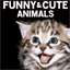 animalsdoingstuff.com