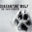 quarantinewolf.bandcamp.com