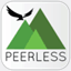 peerlesscfo.com